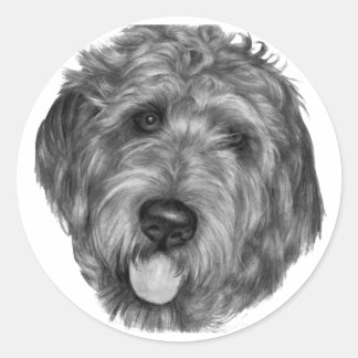 Labradoodle Ronde Sticker