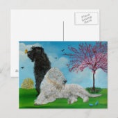 Labradoodle Spring Briefkaart (Voorkant / Achterkant)