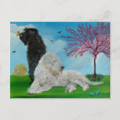 Labradoodle Spring Briefkaart (Voorkant)