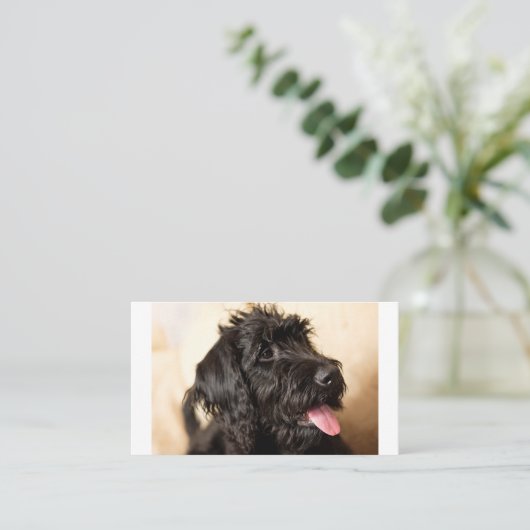 Labradoodle Standard, 3,5-inch x 2,0-inch platte k Plaatskaartje (Staand voorkant)