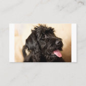 Labradoodle Standard, 3,5-inch x 2,0-inch platte k Plaatskaartje (Voorkant)