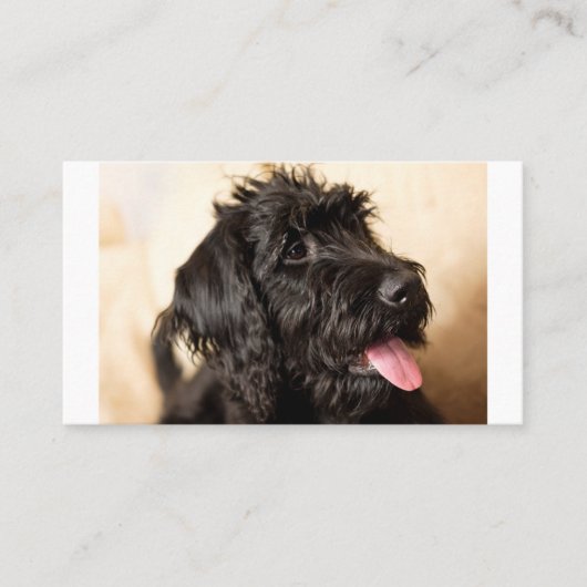 Labradoodle Standard, 3,5-inch x 2,0-inch platte k Plaatskaartje (Voorkant)