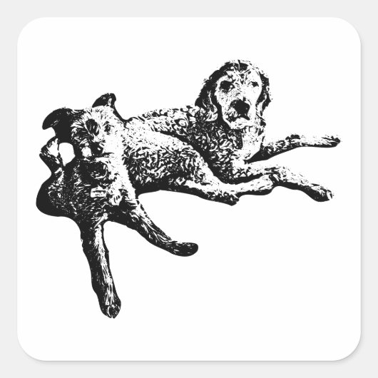 Labradoodle & Terrier Duo Ink Art Sticker (Voorkant)