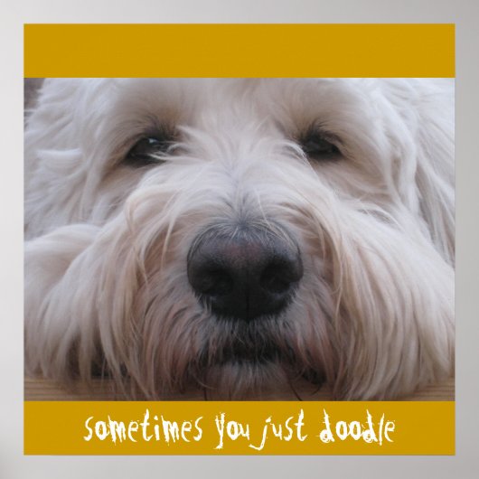 Labradoodle Thoughts Poster (Voorkant)