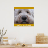 Labradoodle Thoughts Poster (Keuken)