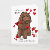 Labradoodle Valentijn houdt van u meer dan Koekjes Kaart (Voorkant)
