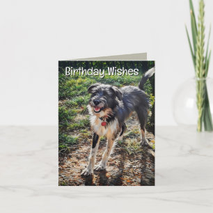 Labradoodle Verjaardag Gevouwen Wenskaart Kaart