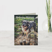 Labradoodle verjaardagskaart met vouw kaart (Voorkant)