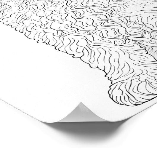 Labradoodle volwassen kleuring poster (Hoek)