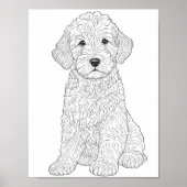 Labradoodle volwassen kleuring poster (Voorkant)
