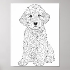 Labradoodle volwassen kleuring poster