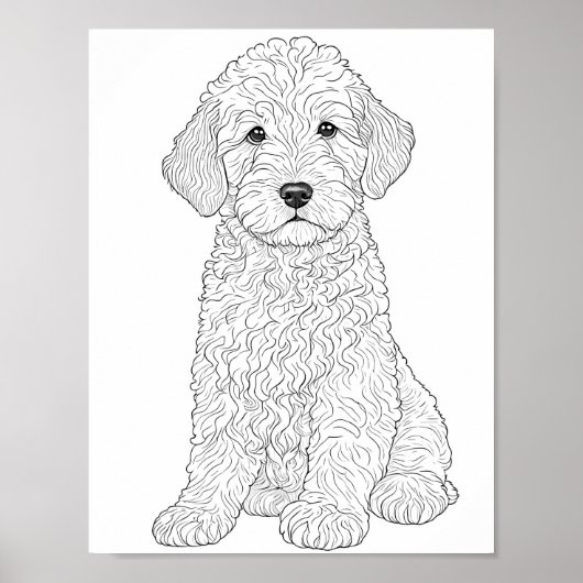Labradoodle volwassen kleuring poster (Voorkant)