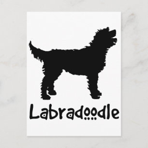 Labradoodle w/ Cool Text Briefkaart