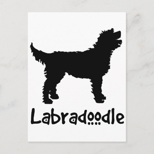 Labradoodle w/ Cool Text Briefkaart (Voorkant)