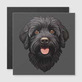 Labradoodle Zwarte Hond