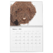 Labradoodles Kalender (Feb 2026)