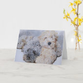 Labradoodles Twee Wenskaarten Kaart (Gele Bloem)