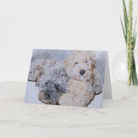 Labradoodles Twee Wenskaarten Kaart (Voorkant)