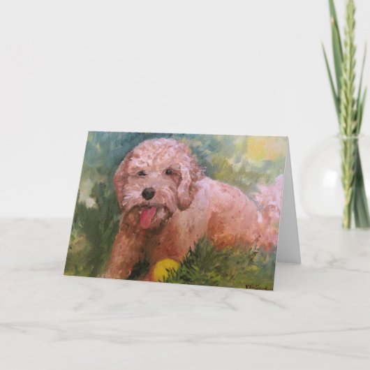 Labradoodor Goldendoodle Card for any ocassion Kaart (Voorkant)