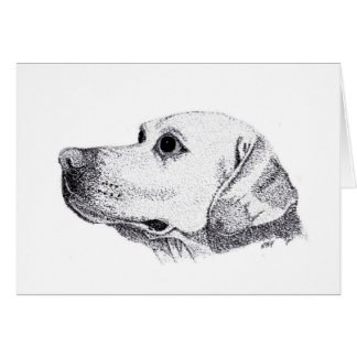 Labrador