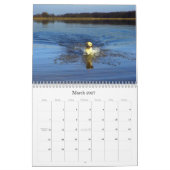 Labrador 2009 kalender (Mar 2027)