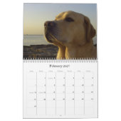 Labrador 2009 kalender (Feb 2027)