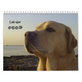 Labrador 2009 kalender (Hoes)