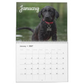 Labrador Aangepaste Jaar Kalender (Jan 2027)