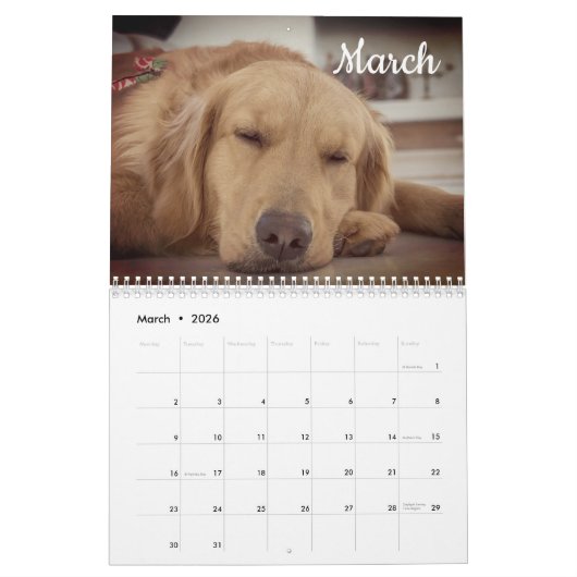 Labrador Aangepaste Jaar Kalender (Mar 2026)