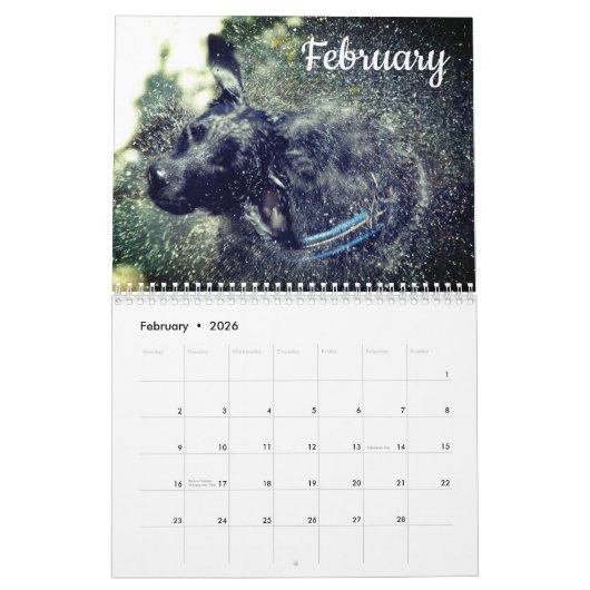 Labrador Aangepaste Jaar Kalender (Feb 2026)