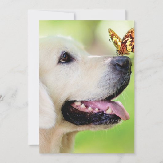 Labrador And Butterfly Throw Pillow Bedankkaart (Voorkant)