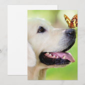 Labrador And Butterfly Throw Pillow Bedankkaart (Voorkant / Achterkant)