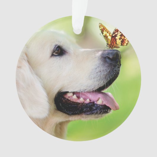 Labrador And Butterfly Throw Pillow Ornament (voorkant)