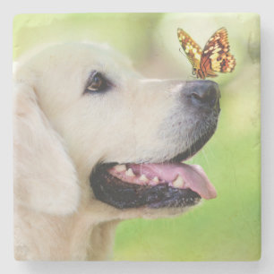 Labrador And Butterfly Throw Pillow Stenen Onderzetter