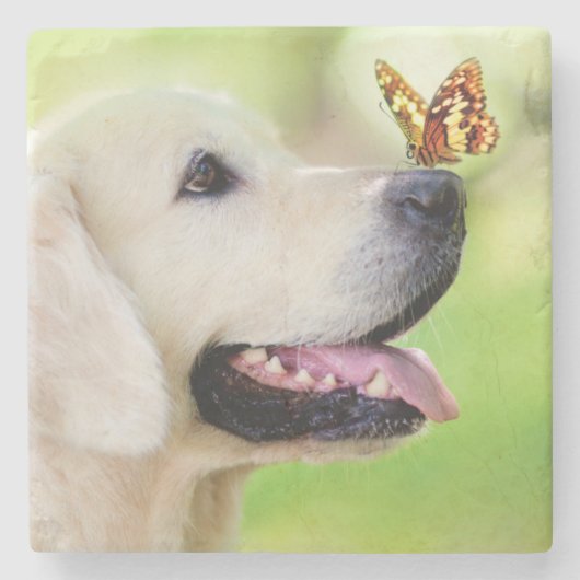 Labrador And Butterfly Throw Pillow Stenen Onderzetter (Voorkant)