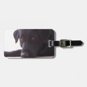 labrador bagagelabel (Voorkant horizontaal)