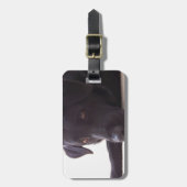 labrador bagagelabel (Voorkant verticaal)