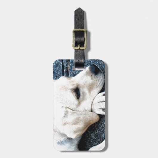 Labrador Bagagelabel (Voorkant verticaal)