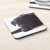 labrador bier onderzetter (Linkerzijde)