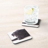 labrador bier onderzetter (Rechterzijde)