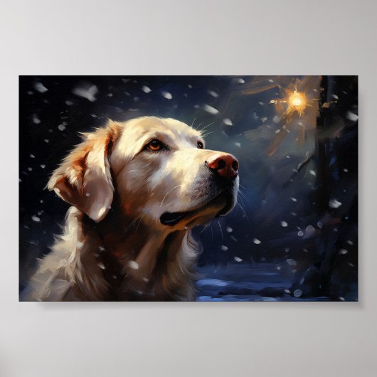 Labrador bij nacht poster (Voorkant)