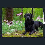 Labrador Black Dog Forrest Butterfly Verjaardag<br><div class="desc">Een hartverwarmende verjaardagskaart,  deze prachtige zwarte Labrador retriever ligt vredig,  belichaamt de idyllische harmonie tussen man en natuur. Perfect wenskaart voor iedereen die van honden houdt. Vind meer bijpassende producten in de ingeinc.com shop | boetiek.</div>