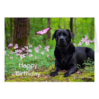 Labrador Black Dog Forrest Butterfly Verjaardag