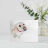 labrador briefkaart (Staand voorkant)