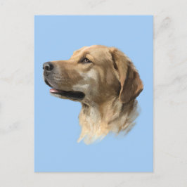 Labrador Briefkaart