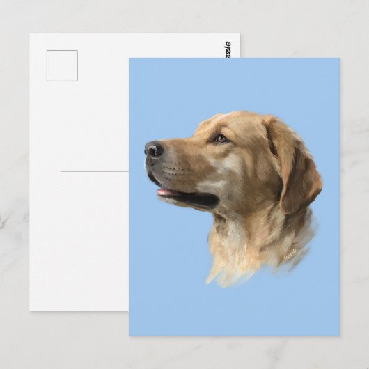 Labrador Briefkaart (Voorkant / Achterkant)