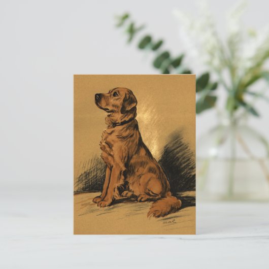  labrador briefkaart (Staand voorkant)
