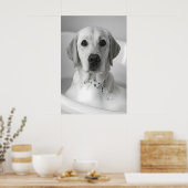 Labrador Bubbelbad Print, Grappige Honden Badkamer Poster (Keuken)