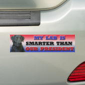 Labrador bumper sticker (Op auto)