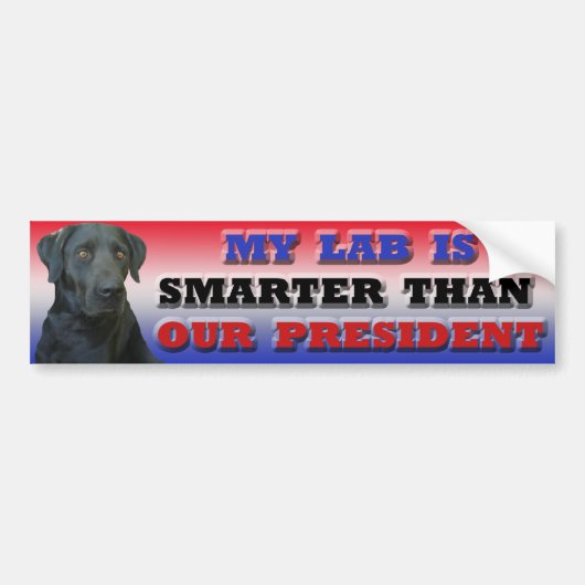 Labrador bumper sticker (Voorkant)